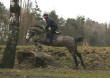Romantica - 2004 mare