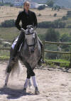 Dressage